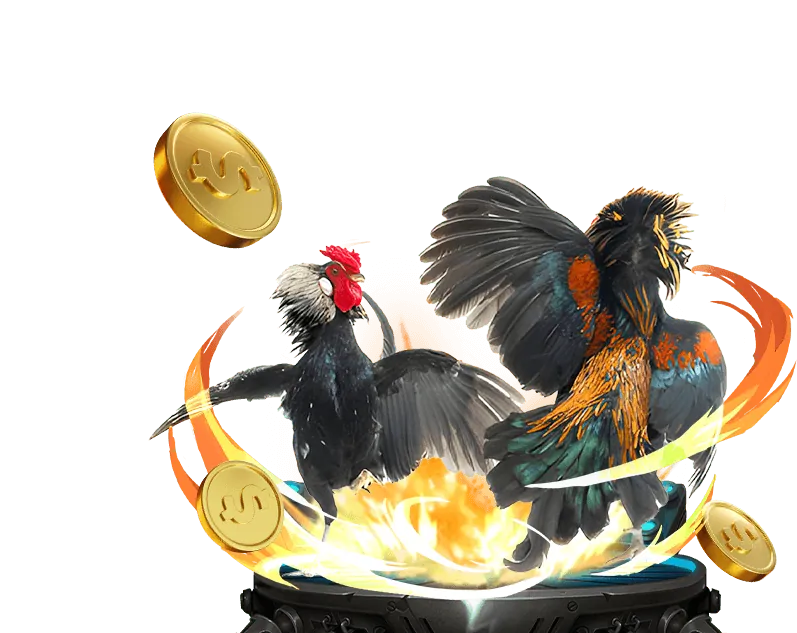 Định vị thương hiệu 3win